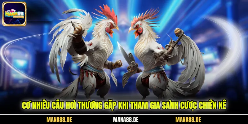 Có nhiều câu hỏi thường gặp khi tham gia sảnh cược chiến kê