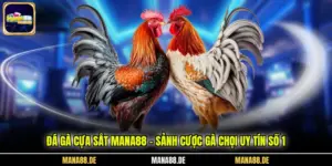 Đá Gà Cựa Sắt Mana88