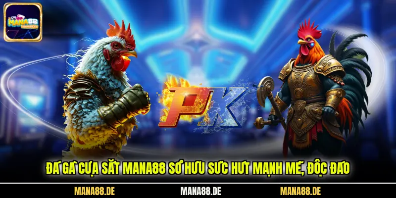 Đá gà cựa sắt Mana88 sở hữu sức hút mạnh mẽ, độc đáo