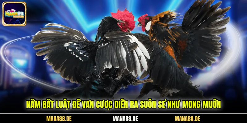 Nắm bắt luật để ván cược diễn ra suôn sẻ như mong muốn